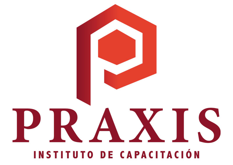 Instituto Praxis